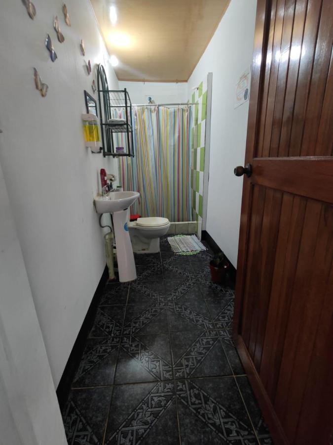 شقة Tortuguero Casa De Playa Green House المظهر الخارجي الصورة