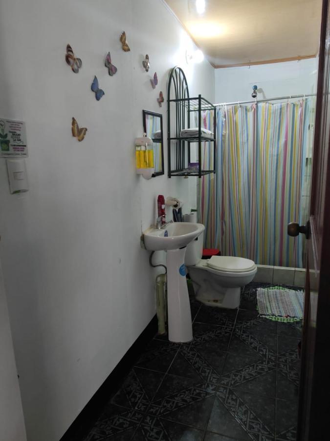 شقة Tortuguero Casa De Playa Green House المظهر الخارجي الصورة
