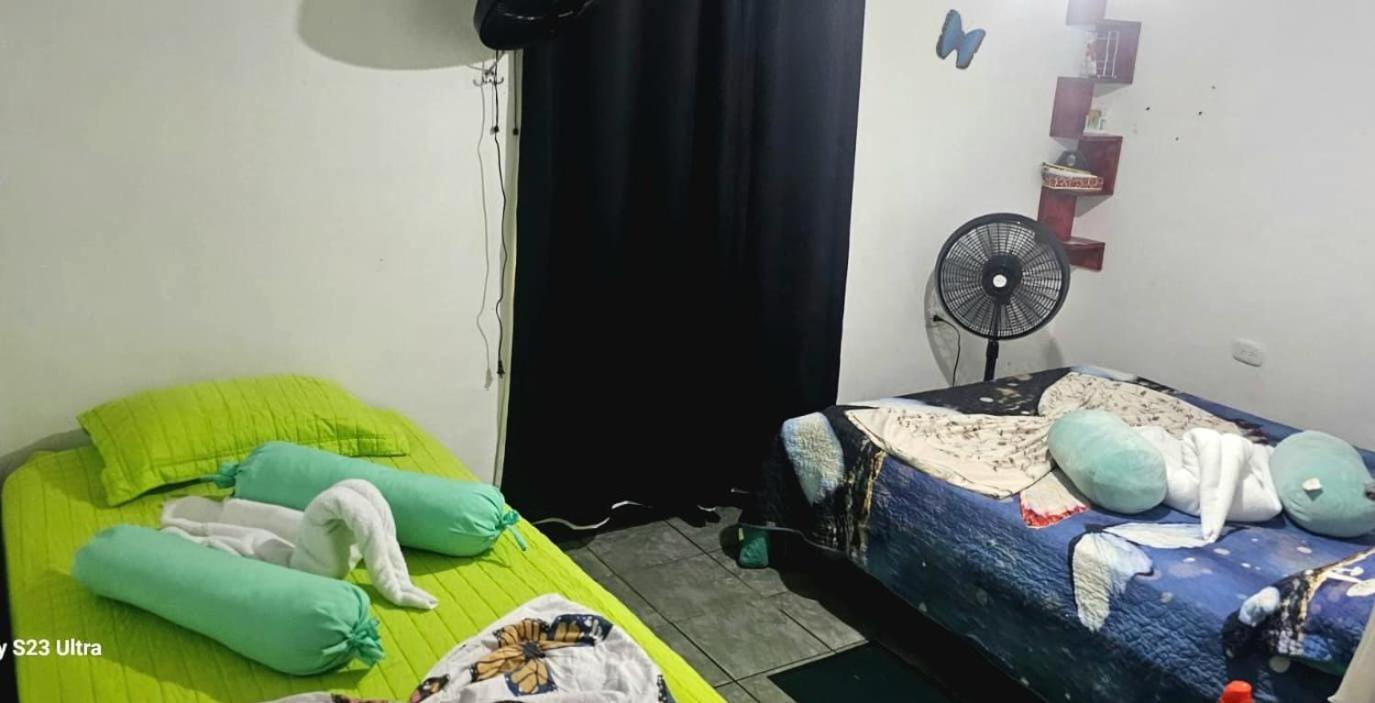 شقة Tortuguero Casa De Playa Green House المظهر الخارجي الصورة