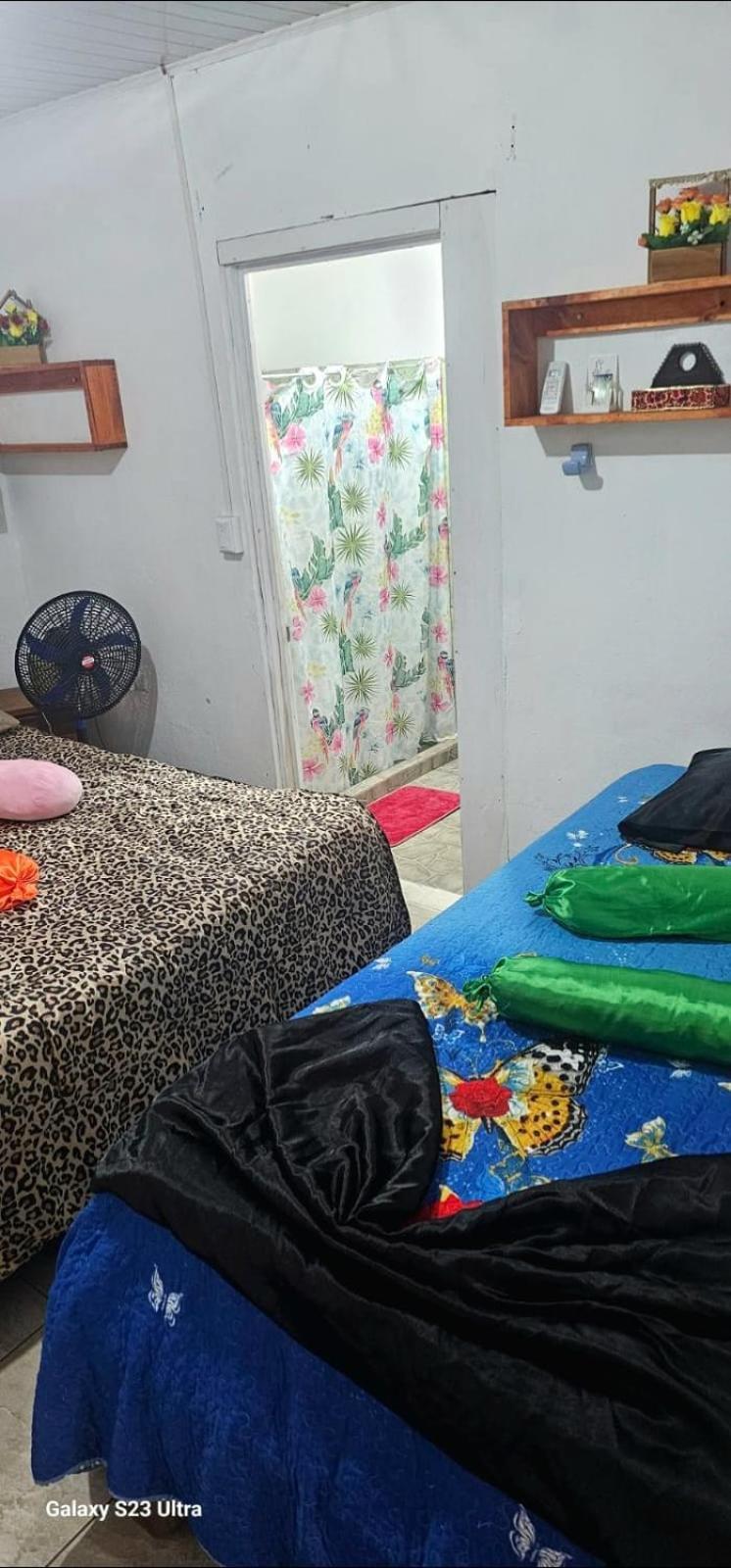 شقة Tortuguero Casa De Playa Green House المظهر الخارجي الصورة