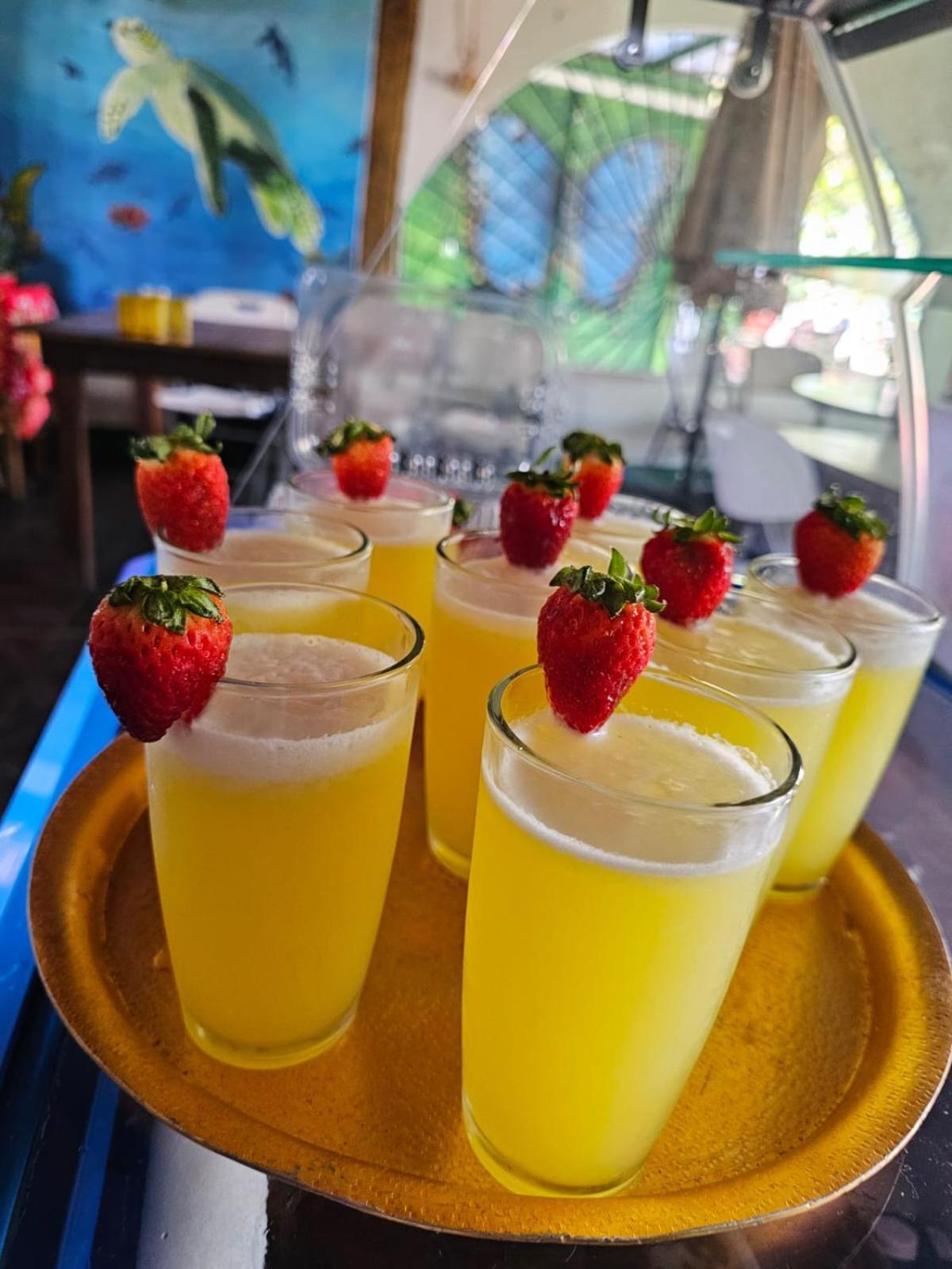 شقة Tortuguero Casa De Playa Green House المظهر الخارجي الصورة