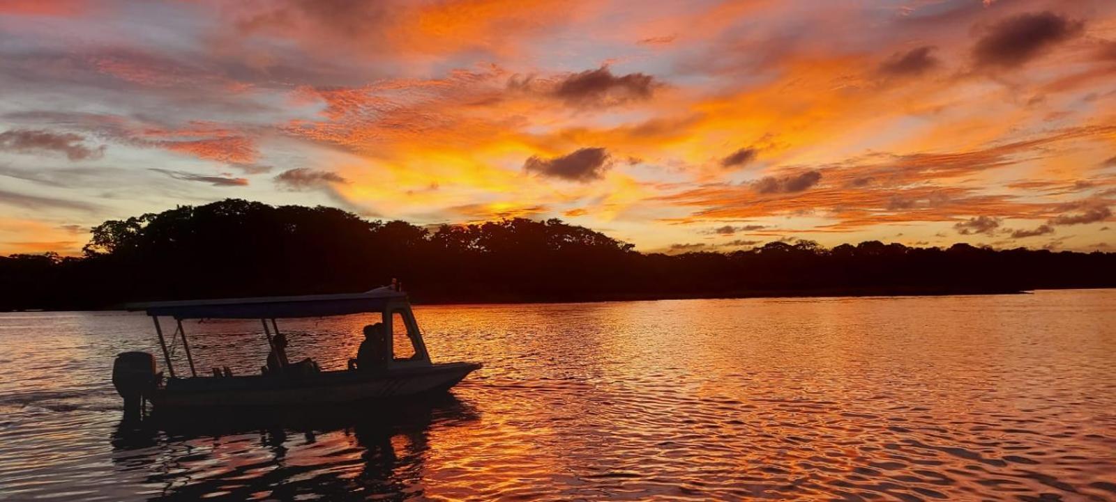 شقة Tortuguero Casa De Playa Green House المظهر الخارجي الصورة