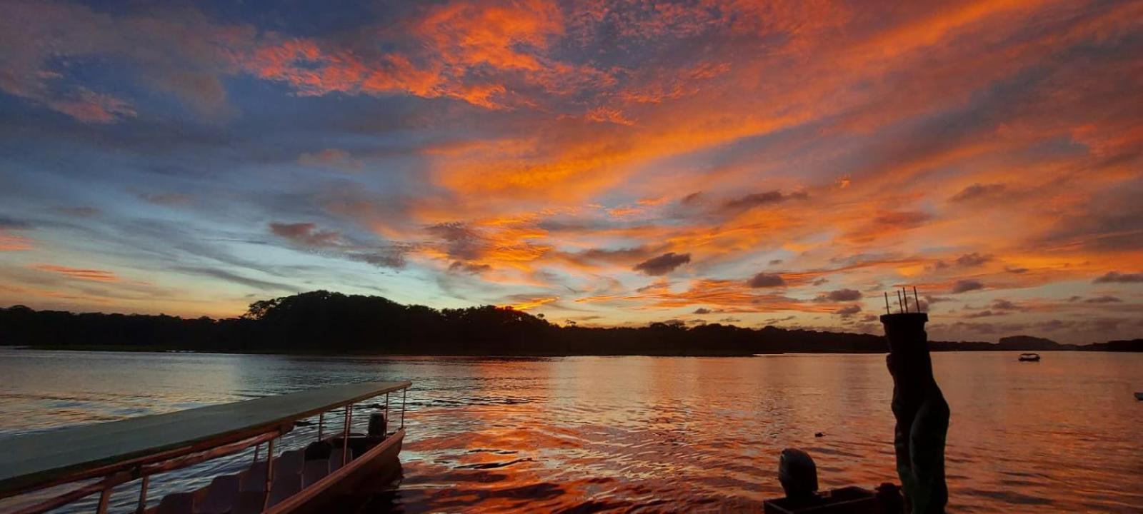 شقة Tortuguero Casa De Playa Green House المظهر الخارجي الصورة