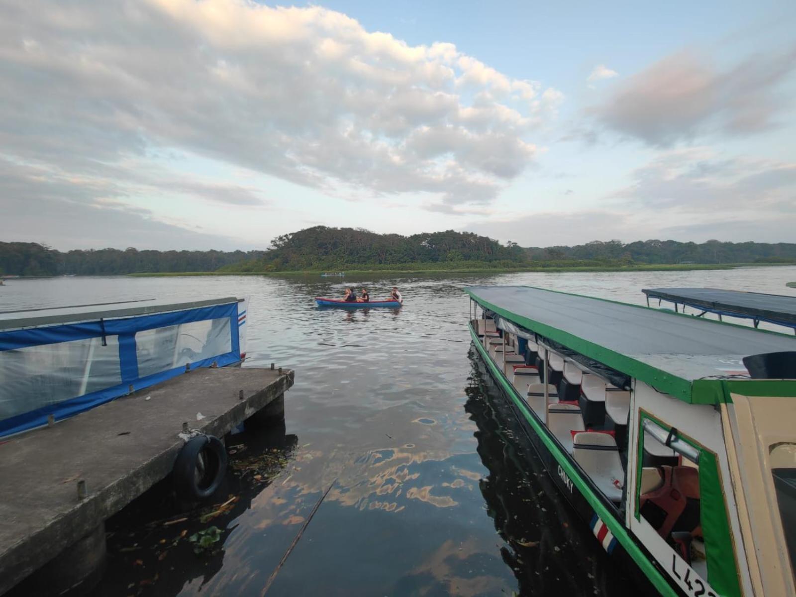شقة Tortuguero Casa De Playa Green House المظهر الخارجي الصورة